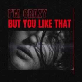 Various Artists - i'm crazy but you like that (2023) Mp3 320kbps [PMEDIA] ⭐️