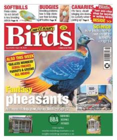 Cage & Aviary Birds - Issue 6260, April 19, 2023