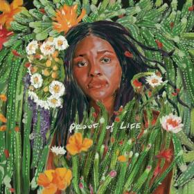 Joy Oladokun - Proof Of Life (2023) Mp3 320kbps [PMEDIA] ⭐️