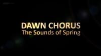 BBC Dawn Chorus The Sounds of Spring 2160p HDTV h266 AAC MVGroup Forum