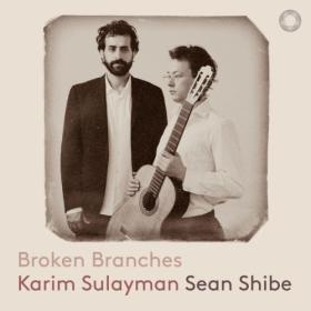 Karim Sulayman - Broken Branches (2023) [24Bit-192kHz] FLAC [PMEDIA] ⭐️