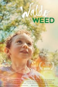 Waldo on Weed 2019 1080p WEBRip x264-LAMA[TGx]