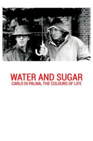 Water And Sugar Carlo Di Palma The Colours Of Life (2016) [ITALIAN] [1080p] [WEBRip] [YTS]