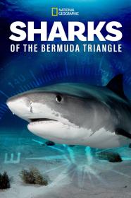 Sharks Of The Bermuda Triangle (2020) [720p] [WEBRip] [YTS]