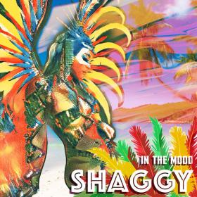 Shaggy - In The Mood (2023) [24Bit-44.1kHz] FLAC [PMEDIA] ⭐️