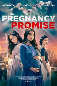 The Pregnancy Promise (2023) [1080p] [WEBRip] [YTS]