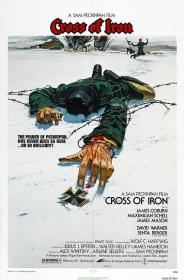 【高清影视之家首发 】铁十字勋章[中文字幕] Cross of Iron 1977 BluRay 1080p DTS-HDMA2 0 x265 10bit-DreamHD