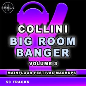 Various Artists - Mixinit - Collini Big Room Bangers Vol  3 (2023) Mp3 320kbps [PMEDIA] ⭐️