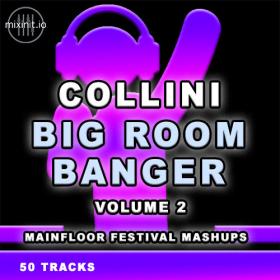 Various Artists - Mixinit - Collini Big Room Bangers Vol  2 (2023) Mp3 320kbps [PMEDIA] ⭐️