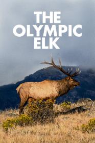 The Olympic Elk (1952) [720p] [WEBRip] [YTS]