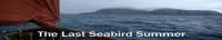 The Last Seabird Summer S01 COMPLETE 720p WEBRip x264-GalaxyTV[TGx]