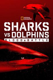 Sharks Vs  Dolphins Blood Battle (2020) [720p] [WEBRip] [YTS]