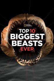 Top 10 Biggest Beasts Ever (2015) [1080p] [WEBRip] [5.1] [YTS]