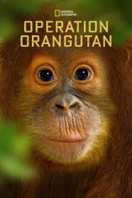 National Geographic Specials Operation Orangutan (2015) [720p] [WEBRip] [YTS]