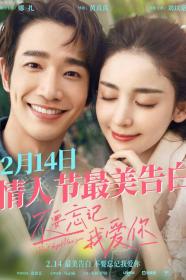 Dont Forget I Love You (2022) [CHINESE] [1080p] [WEBRip] [YTS]