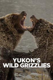 Yukons Wild Grizzlies (2021) [720p] [WEBRip] [YTS]