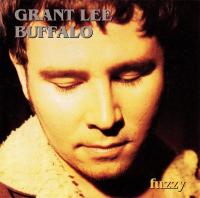Grant Lee Buffalo - Collection (4 Albums) (1993-1998)⭐MP3