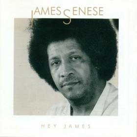 James Senese - Hey james (1991 Fusion) [Flac 16-44]