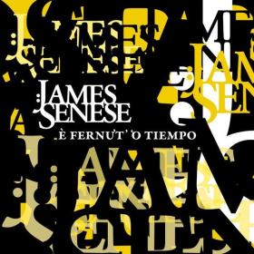 James Senese - E' fernut' 'o tiempo (2012 Fusion) [Flac 16-44]