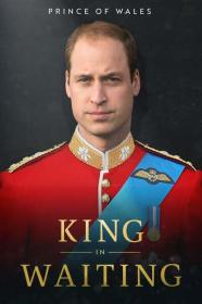 Prince of Wales King in Waiting 2023 720p AMZN WEBRip 400MB x264-GalaxyRG[TGx]