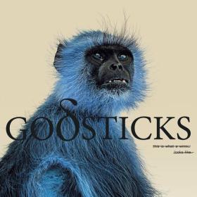 Godsticks - This Is What A Winner Looks Like (2023) Mp3 320kbps [PMEDIA] ⭐️