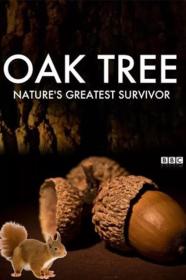 Oak Tree Natures Greatest Survivor (2015) [720p] [WEBRip] [YTS]