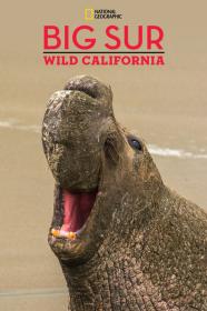 National Geographic Explorer Big Sur-Wild California (2010) [720p] [WEBRip] [YTS]