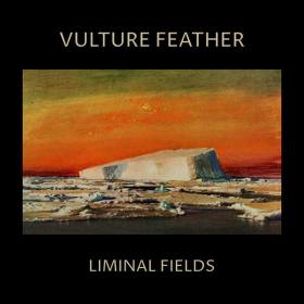 Vulture Feather - Liminal Fields (2023) [24Bit-44.1kHz] FLAC [PMEDIA] ⭐️