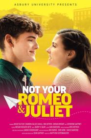 Not Your Romeo and Juliet 2023 1080p AMZN WEBRip 1400MB DD 5.1 x264-GalaxyRG[TGx]