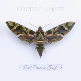 (2023) Cowboy Junkies - Such Ferocious Beauty [FLAC]