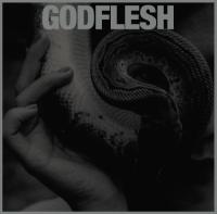 Godflesh - Purge (2023) [24Bit-44.1kHz] FLAC [PMEDIA] ⭐️