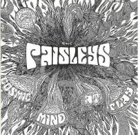 The Paisleys - Behind The Cosmic Mind (Unknown)⭐FLAC