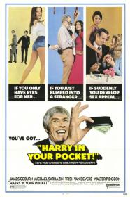 Harry In Your Pocket (1973) [720p] [BluRay] [YTS]