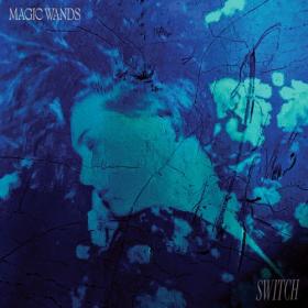 (2023) Magic Wands - Switch [FLAC]