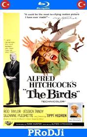 The Birds 1963 BluRay 1080p DTS x264-PRoDJi