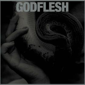 Godflesh - PURGE (2023) Mp3 320kbps [PMEDIA] ⭐️