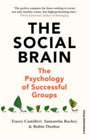 The Social Brain - The Psychology of Successful Groups