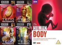 BBC The Human Body 1of8 Life Story x264 AC3