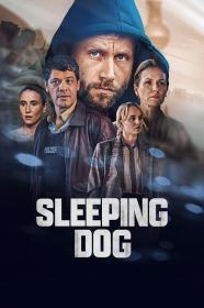 【高清剧集网发布 】沉睡的真相[全6集][简繁英字幕] Sleeping Dog S01 1080p NF WEB-DL DDP5.1 Atmos x264-Huawei