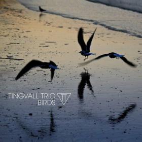 Tingvall Trio - Birds (2023) Mp3 320kbps [PMEDIA] ⭐️