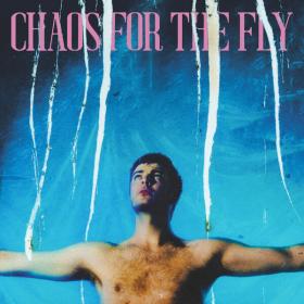 Grian Chatten - Chaos For The Fly (2023) [24Bit-96kHz] FLAC [PMEDIA] ⭐️