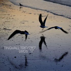 Tingvall Trio - Birds (2023) [24Bit-96kHz] FLAC [PMEDIA] ⭐️