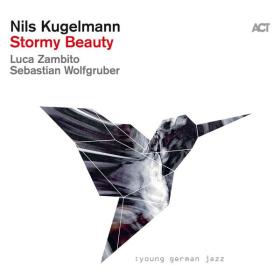 Nils Kugelmann - Stormy Beauty (2023) [24Bit-48kHz] FLAC [PMEDIA] ⭐️