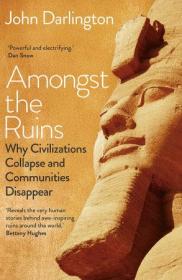 Amongst the Ruins - Why Civilizations Collapse and Communities Disappear (True EPUB)