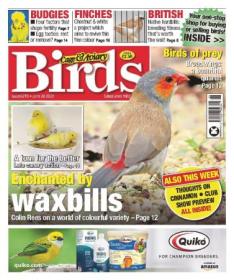 Cage & Aviary Birds - Issue 6270, June 28, 2023