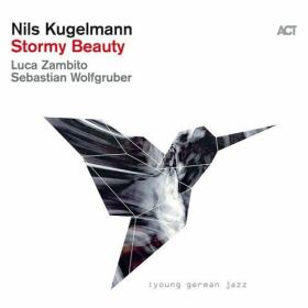 Nils Kugelmann - Stormy Beauty (2023) Mp3 320kbps [PMEDIA] ⭐️