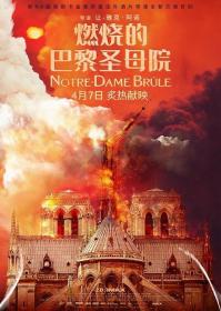 French Notre Dame Brule 2022 BluRay 1080p x264