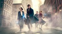 Fantastic Beasts And Where To Find Them 2016 1080P H265-Zero00