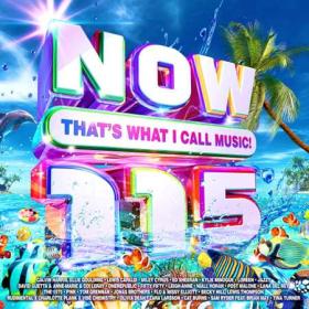 Now That's What I Call Music! 115 (2CD) (2023) FLAC