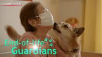 NHK End of Life Guardians 1080p AV1 AAC MVGroup Forum